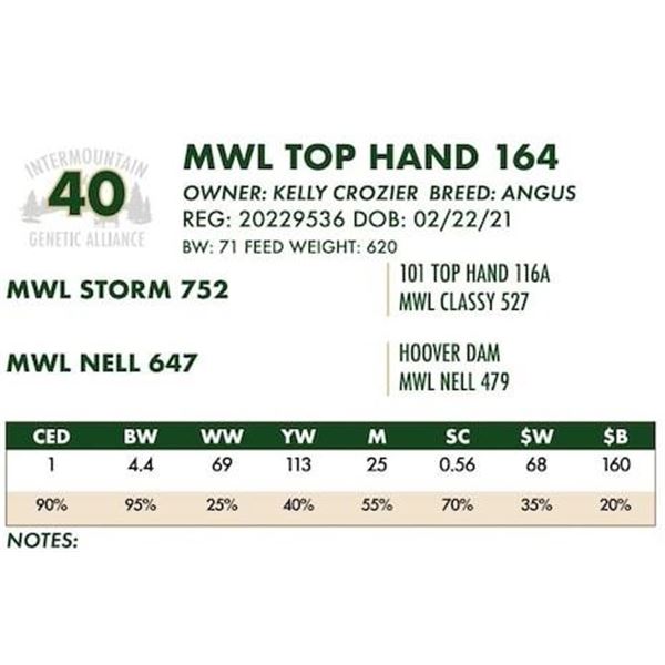 MWL TOP HAND 164
