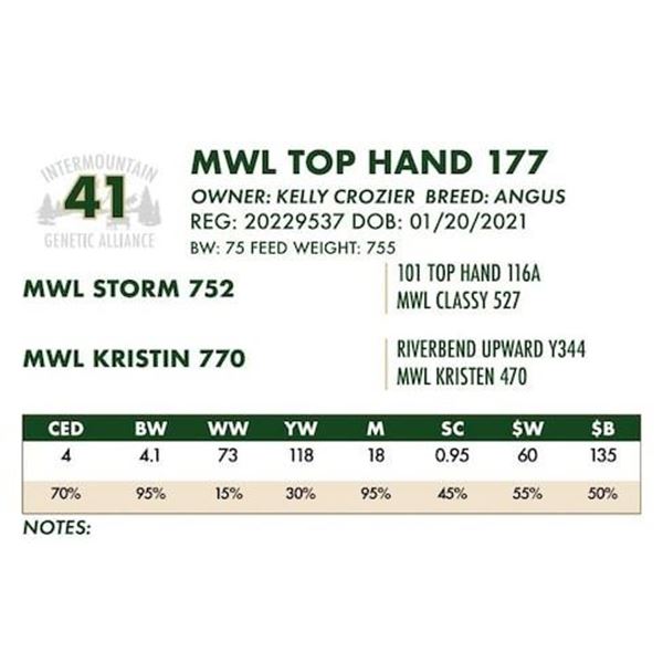 MWL TOP HAND 177