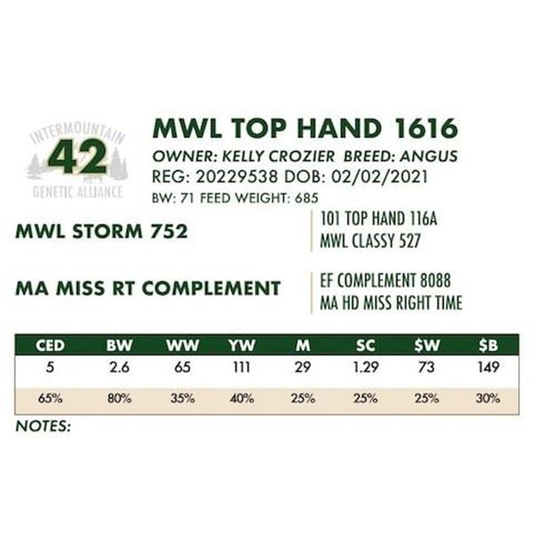 MWL TOP HAND 1616