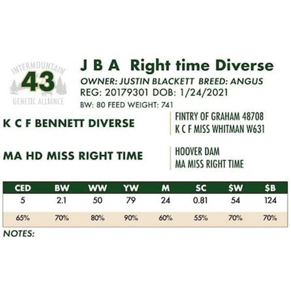 J B A Right time Diverse
