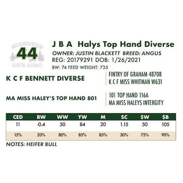 J B A Halys Top Hand Diverse