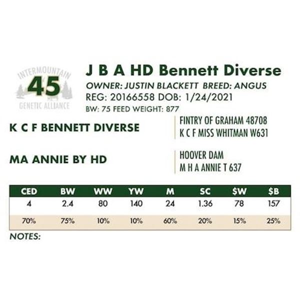 J B A HD Bennett Diverse