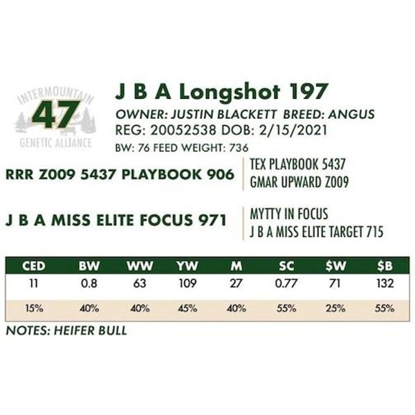 J B A Longshot 197