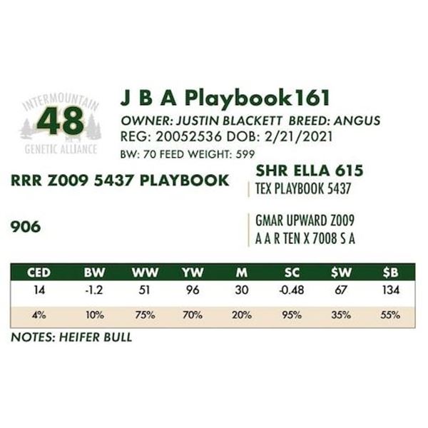 J B A Playbook161