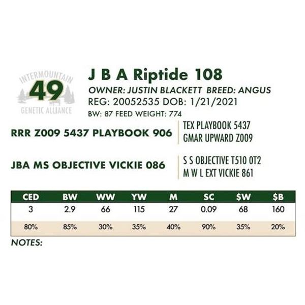 J B A Riptide 108