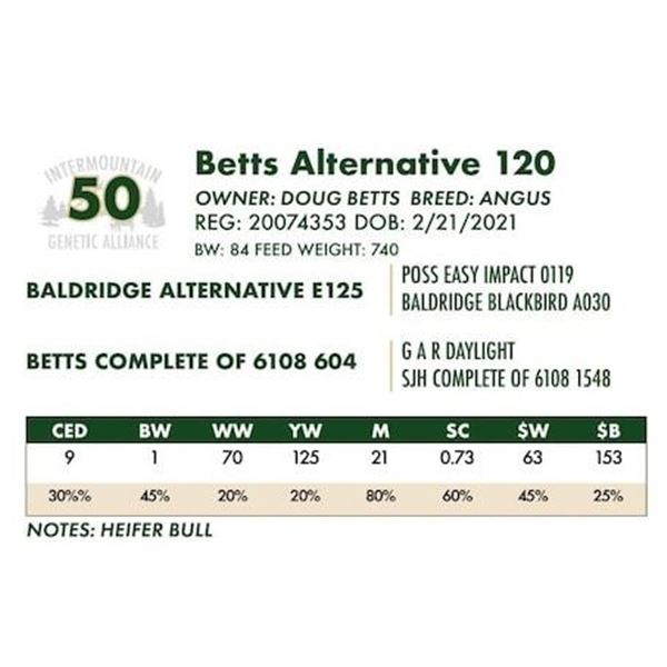 Betts Alternative 120