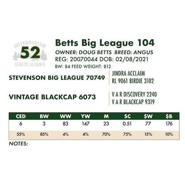 Betts Big League 104