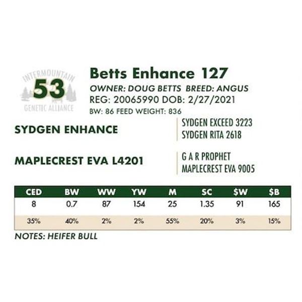 Betts Enhance 127