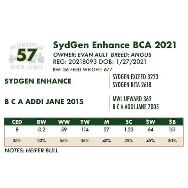SydGen Enhance BCA 2021