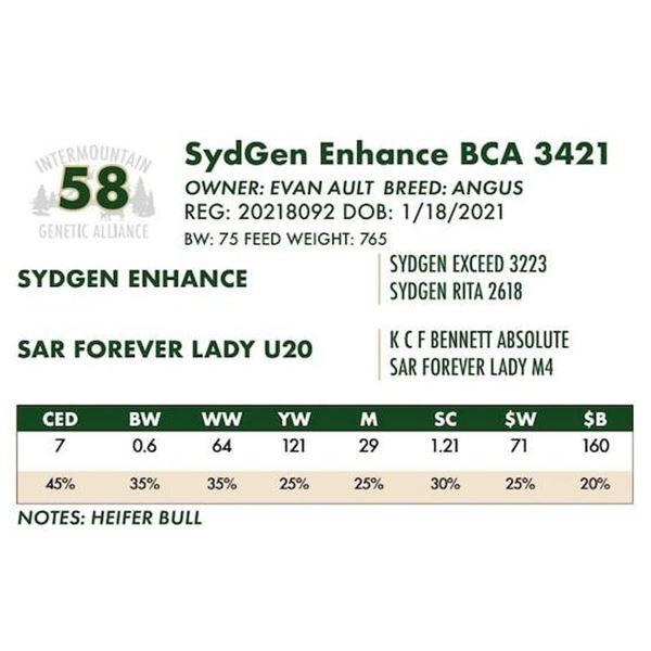 SydGen Enhance BCA 3421