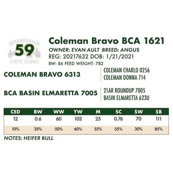Coleman Bravo BCA 1621