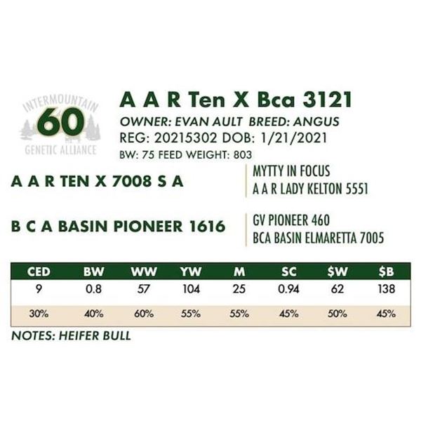 A A R Ten X Bca 3121