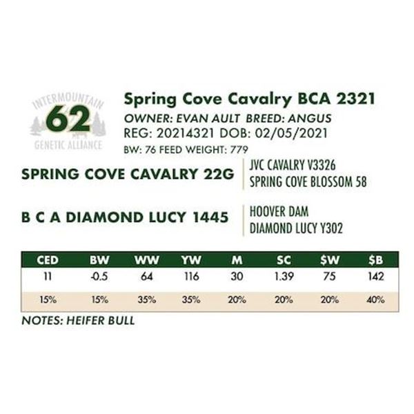 Spring Cove Cavalry BCA 2321