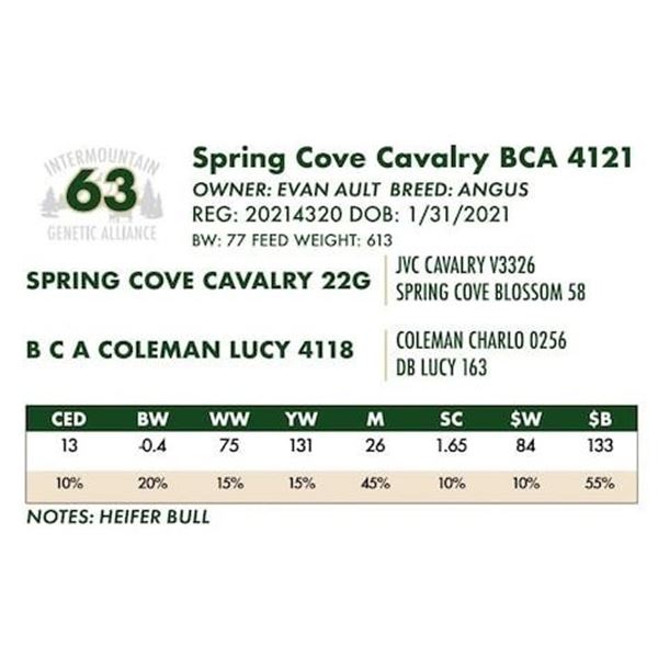 Spring Cove Cavalry BCA 4121