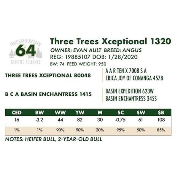 Three Trees Xceptional 1320