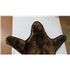 Image 2 : Brown Bear rug - tanned cabin decor - lovely condition - 72" long
