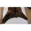 Image 3 : Brown Bear rug - tanned cabin decor - lovely condition - 72" long