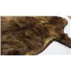 Image 6 : Brown Bear rug - tanned cabin decor - lovely condition - 72" long