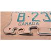 Image 3 : 1979 NWT Polar Bear license plate
