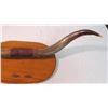 Image 4 : Mounted horns 31" spread (1 horn needs repair)