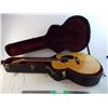Image 1 : *Beaver Creek Guitar with case