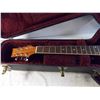 Image 2 : *Beaver Creek Guitar with case