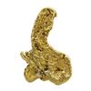 Image 1 : 10.31 Gram Yukon Gold Nugget