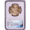 Image 2 : 2010 $50 American Gold Eagle Coin NGC MS70 Early Releases