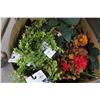 Image 2 : Box of Silk Plant Décor