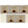 Image 1 : 1¢ 1954 SF ICCS MS63RB & MS63RD. Lot of five coins, 4 of whi