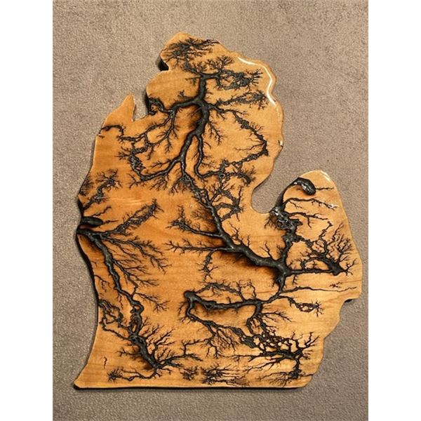 Decorative Michigan Shaped Wall Art / Plaque