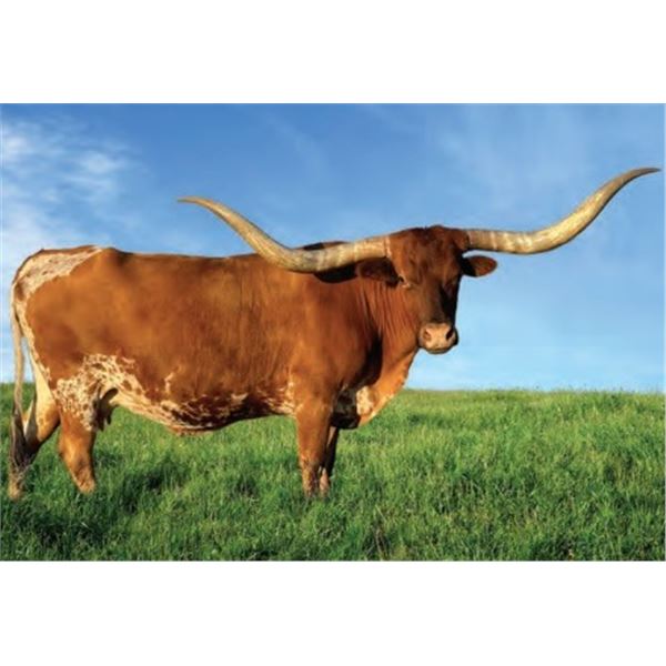 TITANS PEPPER EOT 123