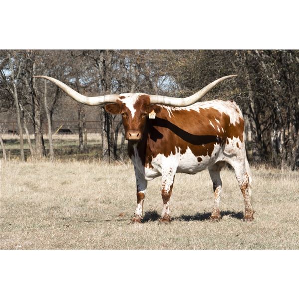 TITANS PRISSY EOT 117