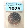 Image 1 : 1 Oz .9999 Silver 2006 Canadian Maple Leaf Coin