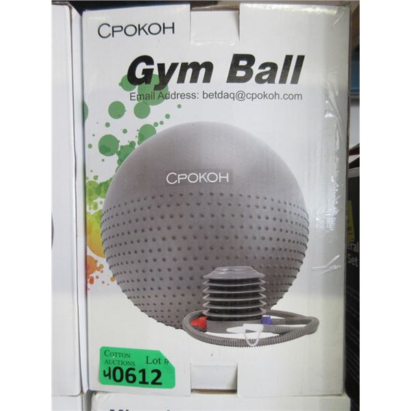 4 New 75 cm Exercise Balls with Foot Pumps