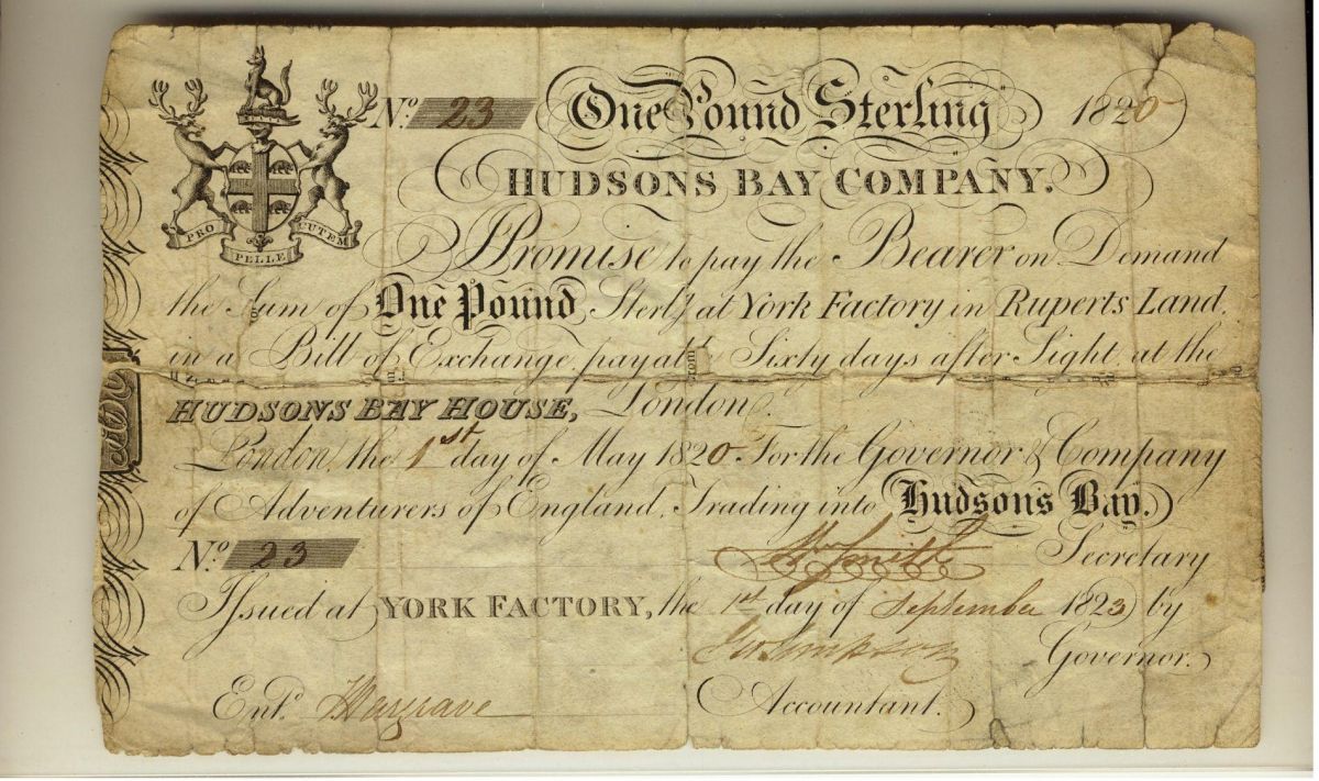 Essay on purchase of alaska