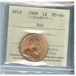 1909 Nfld 1¢ ICCS MS66RD.  Specatcular full red example. 