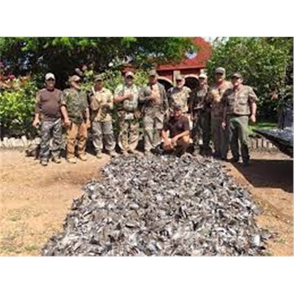 Mexico Dove Hunt for 4 shooters