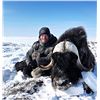 Image 1 : Musk Ox Hunt