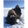 Image 2 : Musk Ox Hunt