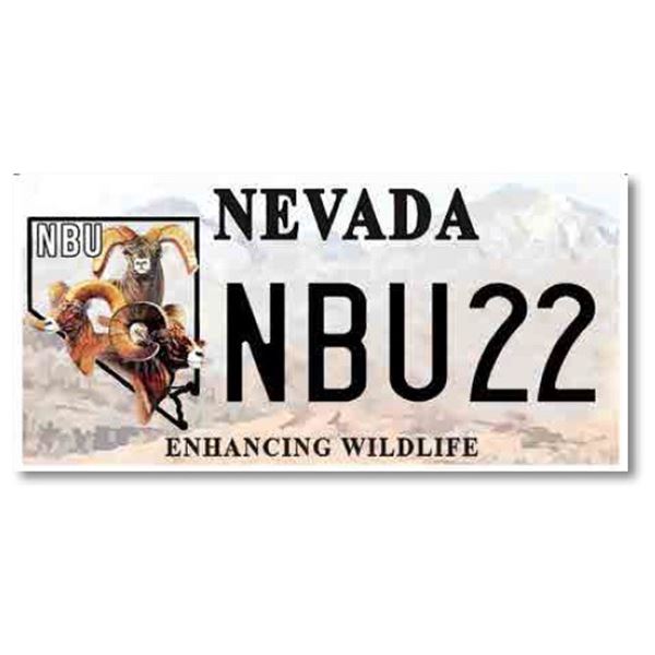 NBU 2022 License Plate - NBU22
