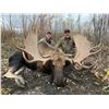 Image 4 : Your Choice - Fannin or Moose Hunt with Blackstone Outfitters