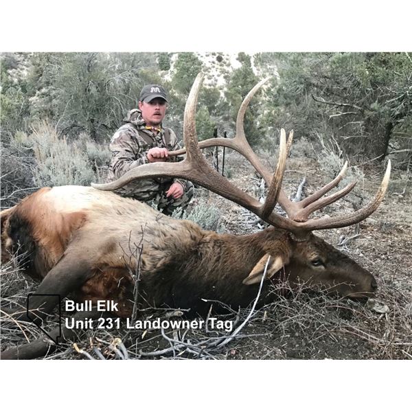 Nevada Unit 231 Landowner Bull Elk Tag