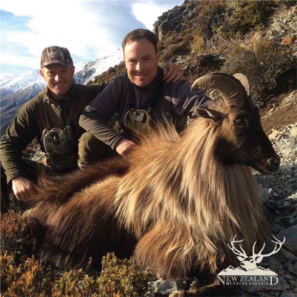 New Zealand Tahr Hunt