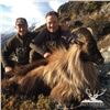 Image 1 : New Zealand Tahr Hunt