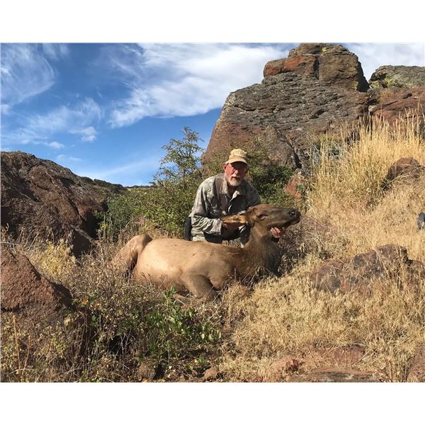 Land Owner Cow Elk Tag - Unit 231