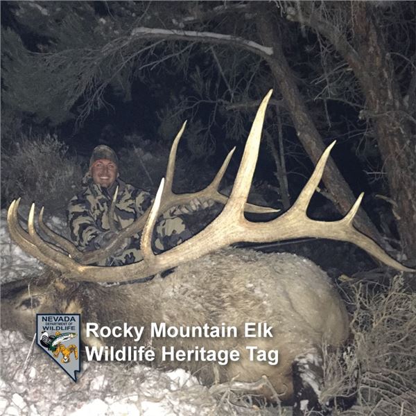Nevada Heritage Elk Tag