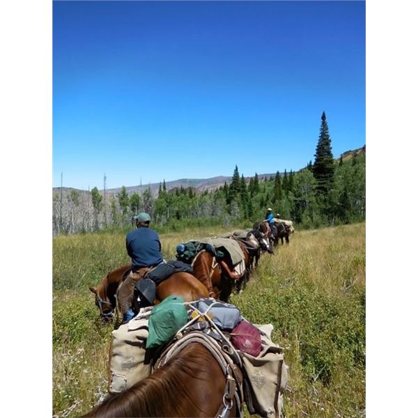 Summer Horse Pack for 2 in the Jarbidge Wilderness