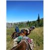 Image 1 : Summer Horse Pack for 2 in the Jarbidge Wilderness