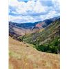 Image 3 : Summer Horse Pack for 2 in the Jarbidge Wilderness